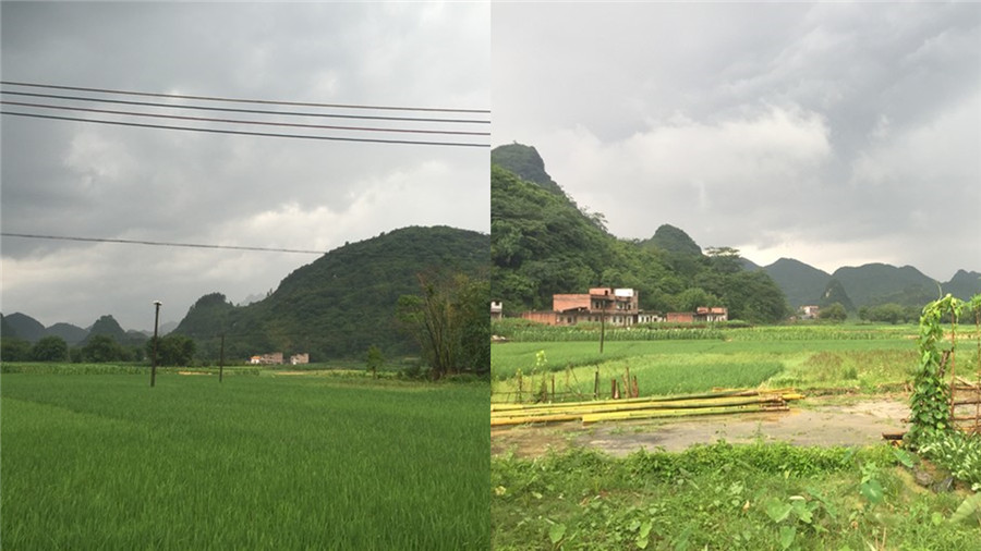 陽山峰林古道-搏翱拓展